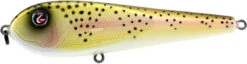River2Sea ICBM 120 Hard Stickbait/Glidebait 16 River2Sea ICBM 120 Hard Stickbait/Glidebait -Fishing Promotion Store 01LiteTrout 73901c30 abdc 4da8 9afc 3d6fba96080a