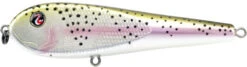 River2Sea ICBM 120 Hard Stickbait/Glidebait 21 River2Sea ICBM 120 Hard Stickbait/Glidebait -Fishing Promotion Store 02RainbowTrout eadba6ed 8576 49bb ae99 7c2d8eb79b04