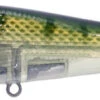 River2Sea ICBM 120 Hard Stickbait/Glidebait 2 River2Sea ICBM 120 Hard Stickbait/Glidebait -Fishing Promotion Store 06BlueGill