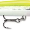 Rapala Down Deep Husky Jerk 10 Deep Diving Jerkbait 1 Rapala Down Deep Husky Jerk 10 Deep Diving Jerkbait -Fishing Promotion Store 12564593410103