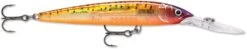 Rapala Down Deep Husky Jerk 10 Deep Diving Jerkbait 31 Rapala Down Deep Husky Jerk 10 Deep Diving Jerkbait -Fishing Promotion Store 12564593672247