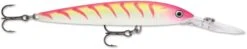 Rapala Down Deep Husky Jerk 10 Deep Diving Jerkbait 38 Rapala Down Deep Husky Jerk 10 Deep Diving Jerkbait -Fishing Promotion Store 12564593901623