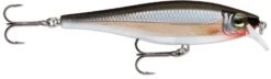 Rapala Balsa Xtreme BX Minnow 10 Medium Diving Jerkbait 19 Rapala Balsa Xtreme BX Minnow 10 Medium Diving Jerkbait -Fishing Promotion Store 12582631931959