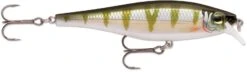 Rapala Balsa Xtreme BX Minnow 10 Medium Diving Jerkbait 21 Rapala Balsa Xtreme BX Minnow 10 Medium Diving Jerkbait -Fishing Promotion Store 12582631997495