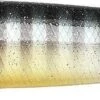 Lucky Craft Gunfish 115 Topwater Walker/Popper 1 Lucky Craft Gunfish 115 Topwater Walker/Popper -Fishing Promotion Store 12603014479927