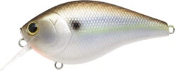 Lucky Craft LC 2.5 Shallow Squarebill Crankbait 28 Lucky Craft LC 2.5 Shallow Squarebill Crankbait -Fishing Promotion Store 12607085903927