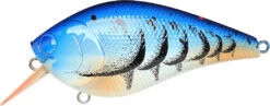 Lucky Craft LC 2.5 Shallow Squarebill Crankbait 30 Lucky Craft LC 2.5 Shallow Squarebill Crankbait -Fishing Promotion Store 12607085969463