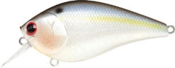 Lucky Craft LC 2.5 Shallow Squarebill Crankbait 31 Lucky Craft LC 2.5 Shallow Squarebill Crankbait -Fishing Promotion Store 12607086002231