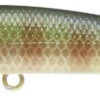 Lucky Craft Screw Pointer 80/90 Spy Bait 1 Lucky Craft Screw Pointer 80/90 Spy Bait -Fishing Promotion Store 12622329675831