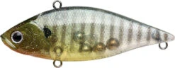 Lucky Craft LV-500 Max Lipless Crankbait 23 Lucky Craft LV-500 Max Lipless Crankbait -Fishing Promotion Store 12634230194231