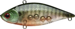 Lucky Craft LV-500 Max Lipless Crankbait 24 Lucky Craft LV-500 Max Lipless Crankbait -Fishing Promotion Store 12634230226999