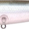 Lucky Craft Sammy 100 Topwater Walker 1 Lucky Craft Sammy 100 Topwater Walker -Fishing Promotion Store 12651524915255