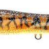 Nomad Design Chug Norris Freshwater/Inshore Popper 1 Nomad Design Chug Norris Freshwater/Inshore Popper -Fishing Promotion Store 12674578645047
