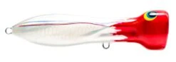 Nomad Design Chug Norris Freshwater/Inshore Popper 25 Nomad Design Chug Norris Freshwater/Inshore Popper -Fishing Promotion Store 12674578776119