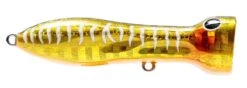 Nomad Design Chug Norris Freshwater/Inshore Popper 27 Nomad Design Chug Norris Freshwater/Inshore Popper -Fishing Promotion Store 12674578907191