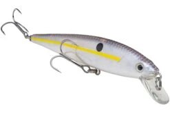 Strike King KVD 200 Series 4 1/2 Inch Suspending Medium Jerkbait 24 Strike King KVD 200 Series 4 1/2 Inch Suspending Medium Jerkbait -Fishing Promotion Store 12699182497847