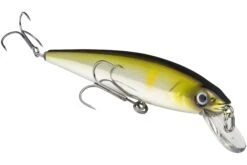 Strike King KVD 200 Series 4 1/2 Inch Suspending Medium Jerkbait 25 Strike King KVD 200 Series 4 1/2 Inch Suspending Medium Jerkbait -Fishing Promotion Store 12699182530615