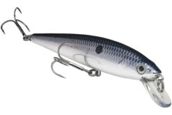 Strike King KVD 200 Series 4 1/2 Inch Suspending Medium Jerkbait 26 Strike King KVD 200 Series 4 1/2 Inch Suspending Medium Jerkbait -Fishing Promotion Store 12699182563383