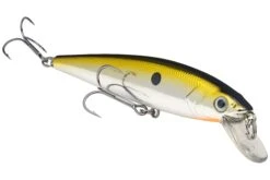 Strike King KVD 200 Series 4 1/2 Inch Suspending Medium Jerkbait 27 Strike King KVD 200 Series 4 1/2 Inch Suspending Medium Jerkbait -Fishing Promotion Store 12699182596151