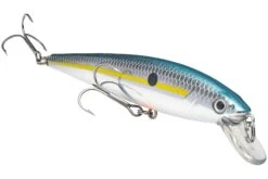 Strike King KVD 200 Series 4 1/2 Inch Suspending Medium Jerkbait 28 Strike King KVD 200 Series 4 1/2 Inch Suspending Medium Jerkbait -Fishing Promotion Store 12699182628919