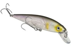 Strike King KVD 200 Series 4 1/2 Inch Suspending Medium Jerkbait 30 Strike King KVD 200 Series 4 1/2 Inch Suspending Medium Jerkbait -Fishing Promotion Store 12699182694455