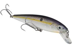 Strike King KVD 200 Series 4 1/2 Inch Suspending Medium Jerkbait 31 Strike King KVD 200 Series 4 1/2 Inch Suspending Medium Jerkbait -Fishing Promotion Store 12699182759991
