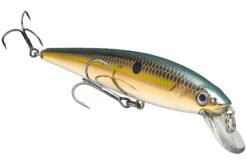 Strike King KVD 200 Series 4 1/2 Inch Suspending Medium Jerkbait 32 Strike King KVD 200 Series 4 1/2 Inch Suspending Medium Jerkbait -Fishing Promotion Store 12699182792759