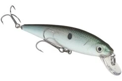 Strike King KVD 200 Series 4 1/2 Inch Suspending Medium Jerkbait 33 Strike King KVD 200 Series 4 1/2 Inch Suspending Medium Jerkbait -Fishing Promotion Store 12699182825527