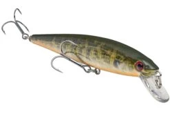 Strike King KVD 200 Series 4 1/2 Inch Suspending Medium Jerkbait 34 Strike King KVD 200 Series 4 1/2 Inch Suspending Medium Jerkbait -Fishing Promotion Store 12699182858295