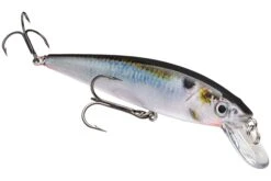 Strike King KVD 200 Series 4 1/2 Inch Suspending Medium Jerkbait 35 Strike King KVD 200 Series 4 1/2 Inch Suspending Medium Jerkbait -Fishing Promotion Store 12699182891063