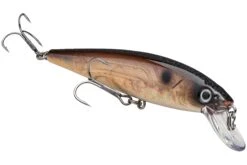Strike King KVD 200 Series 4 1/2 Inch Suspending Medium Jerkbait 37 Strike King KVD 200 Series 4 1/2 Inch Suspending Medium Jerkbait -Fishing Promotion Store 12699182956599