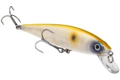 Strike King KVD 200 Series 4 1/2 Inch Suspending Medium Jerkbait 39 Strike King KVD 200 Series 4 1/2 Inch Suspending Medium Jerkbait -Fishing Promotion Store 12699183022135