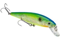 Strike King KVD 200 Series 4 1/2 Inch Suspending Medium Jerkbait 40 Strike King KVD 200 Series 4 1/2 Inch Suspending Medium Jerkbait -Fishing Promotion Store 12699183054903
