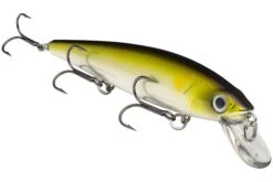 Strike King KVD 300 Series 4 3/4 Inch Suspending Medium Jerkbait 24 Strike King KVD 300 Series 4 3/4 Inch Suspending Medium Jerkbait -Fishing Promotion Store 12699197145143