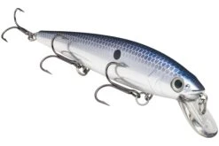 Strike King KVD 300 Series 4 3/4 Inch Suspending Medium Jerkbait 25 Strike King KVD 300 Series 4 3/4 Inch Suspending Medium Jerkbait -Fishing Promotion Store 12699197177911