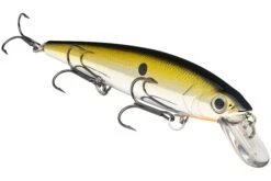 Strike King KVD 300 Series 4 3/4 Inch Suspending Medium Jerkbait 26 Strike King KVD 300 Series 4 3/4 Inch Suspending Medium Jerkbait -Fishing Promotion Store 12699197210679
