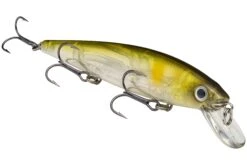 Strike King KVD 300 Series 4 3/4 Inch Suspending Medium Jerkbait 28 Strike King KVD 300 Series 4 3/4 Inch Suspending Medium Jerkbait -Fishing Promotion Store 12699197276215