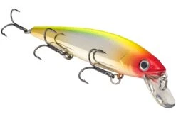 Strike King KVD 300 Series 4 3/4 Inch Suspending Medium Jerkbait 30 Strike King KVD 300 Series 4 3/4 Inch Suspending Medium Jerkbait -Fishing Promotion Store 12699197341751