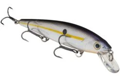 Strike King KVD 300 Series 4 3/4 Inch Suspending Medium Jerkbait 31 Strike King KVD 300 Series 4 3/4 Inch Suspending Medium Jerkbait -Fishing Promotion Store 12699197374519