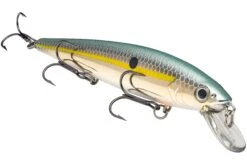 Strike King KVD 300 Series 4 3/4 Inch Suspending Medium Jerkbait 32 Strike King KVD 300 Series 4 3/4 Inch Suspending Medium Jerkbait -Fishing Promotion Store 12699197407287