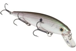 Strike King KVD 300 Series 4 3/4 Inch Suspending Medium Jerkbait 33 Strike King KVD 300 Series 4 3/4 Inch Suspending Medium Jerkbait -Fishing Promotion Store 12699197440055
