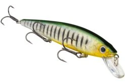 Strike King KVD 300 Series 4 3/4 Inch Suspending Medium Jerkbait 37 Strike King KVD 300 Series 4 3/4 Inch Suspending Medium Jerkbait -Fishing Promotion Store 12699197571127