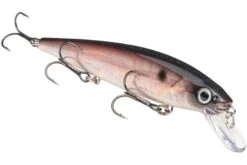 Strike King KVD 300 Series 4 3/4 Inch Suspending Medium Jerkbait 38 Strike King KVD 300 Series 4 3/4 Inch Suspending Medium Jerkbait -Fishing Promotion Store 12699197603895