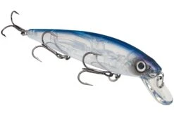 Strike King KVD 300 Series 4 3/4 Inch Suspending Medium Jerkbait 39 Strike King KVD 300 Series 4 3/4 Inch Suspending Medium Jerkbait -Fishing Promotion Store 12699197636663