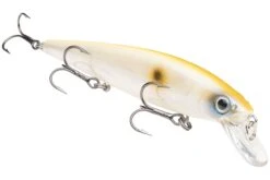 Strike King KVD 300 Series 4 3/4 Inch Suspending Medium Jerkbait 40 Strike King KVD 300 Series 4 3/4 Inch Suspending Medium Jerkbait -Fishing Promotion Store 12699197669431