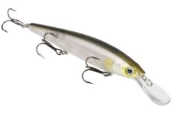 Strike King KVD 300D Series 4 1/2 Inch Deep Diving Jerkbait 27 Strike King KVD 300D Series 4 1/2 Inch Deep Diving Jerkbait -Fishing Promotion Store 12699232075831