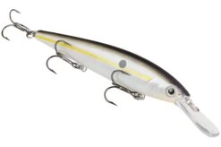 Strike King KVD 300D Series 4 1/2 Inch Deep Diving Jerkbait 29 Strike King KVD 300D Series 4 1/2 Inch Deep Diving Jerkbait -Fishing Promotion Store 12699232141367