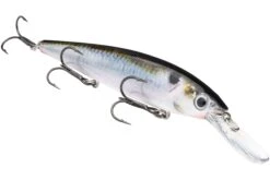 Strike King KVD 300D Series 4 1/2 Inch Deep Diving Jerkbait 31 Strike King KVD 300D Series 4 1/2 Inch Deep Diving Jerkbait -Fishing Promotion Store 12699232206903