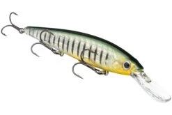 Strike King KVD 300D Series 4 1/2 Inch Deep Diving Jerkbait 33 Strike King KVD 300D Series 4 1/2 Inch Deep Diving Jerkbait -Fishing Promotion Store 12699232272439