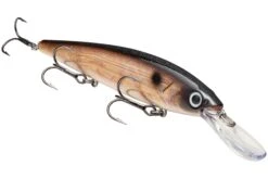 Strike King KVD 300D Series 4 1/2 Inch Deep Diving Jerkbait 34 Strike King KVD 300D Series 4 1/2 Inch Deep Diving Jerkbait -Fishing Promotion Store 12699232305207
